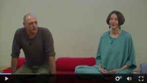 Screengrab of Dr. Frances Sommer Anderson teaching to my online students